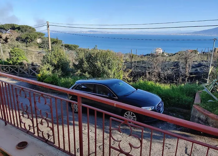 The Magnolia * סורנטו